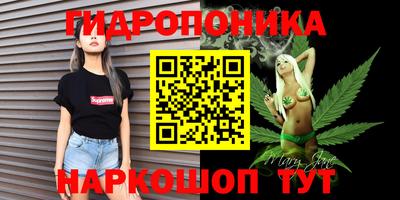 хмурый Кингисепп