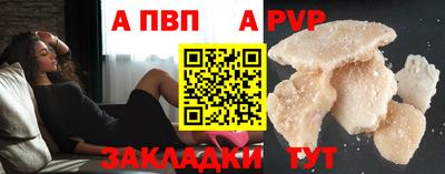 хмурый Кингисепп