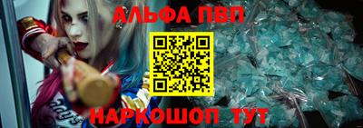 хмурый Кингисепп