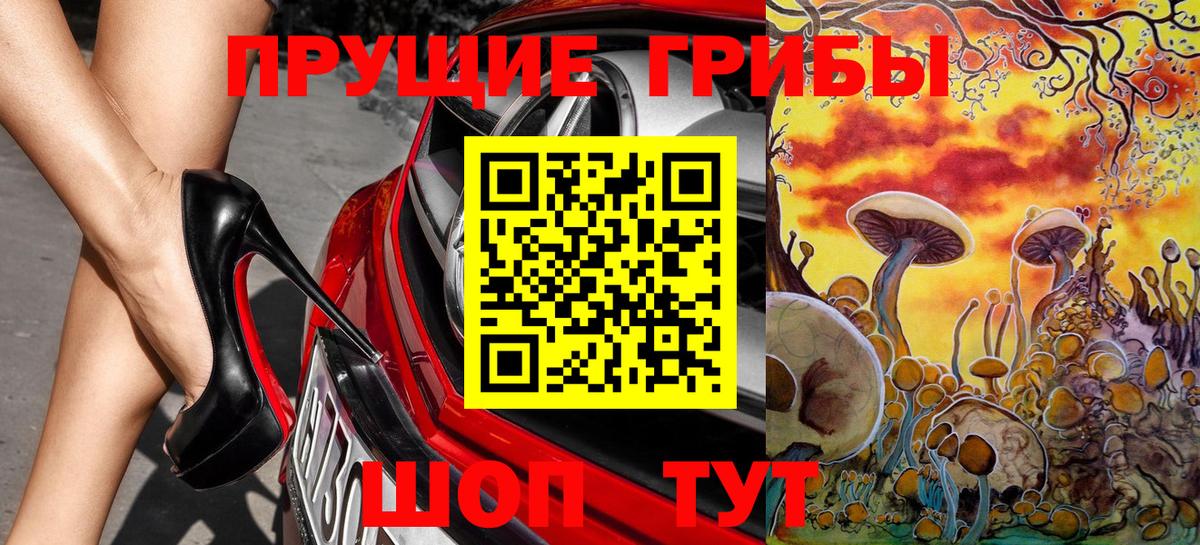 Галлюциногенные грибы прущие грибы  Вход с VPN  Карталы 
